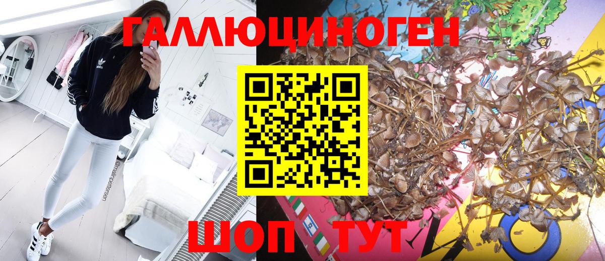 Псилоцибиновые грибы GOLDEN TEACHER Уварово
